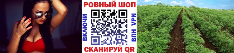Где купить Надым Конопля Бутират АМФ МЕФ COCAIN