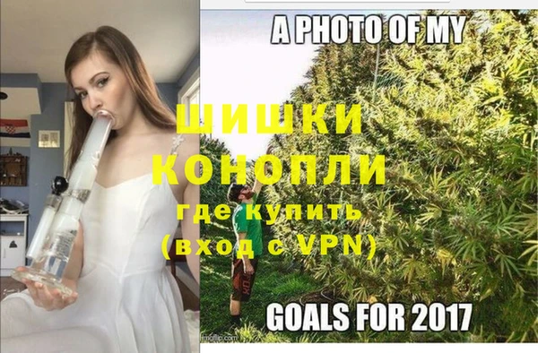 дживик Белоозёрский