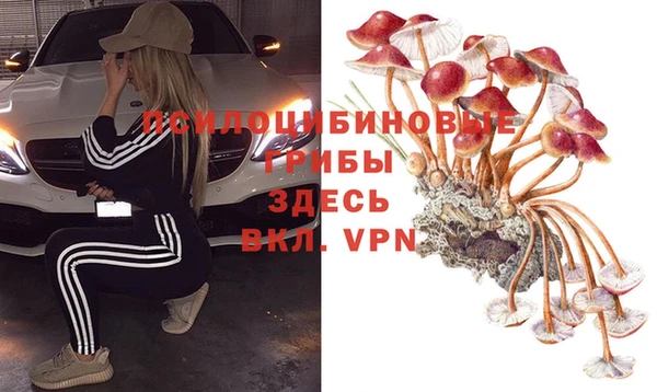 молекула духа Белокуриха
