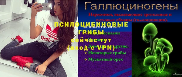 дживик Белоозёрский